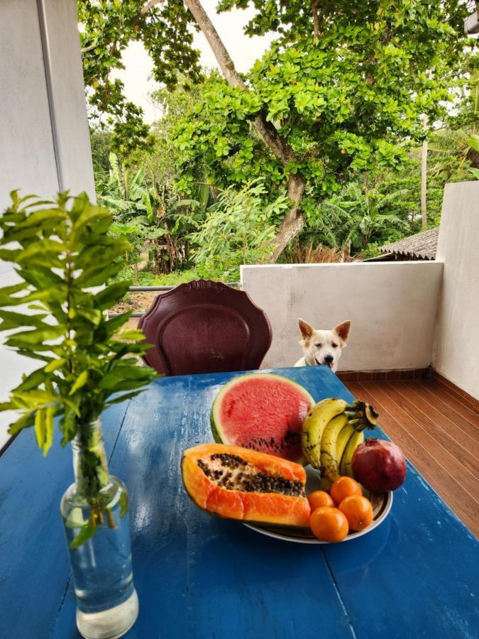 King Coco House Lägenhet Dikwella Exteriör bild
